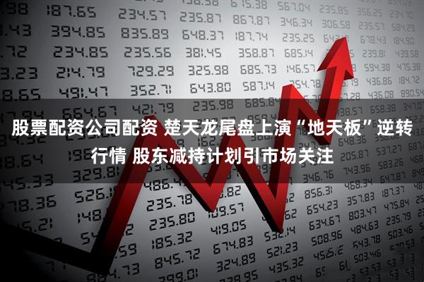 股票配资公司配资 楚天龙尾盘上演“地天板”逆转行情 股东减持计划引市场关注
