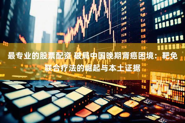 最专业的股票配资 破局中国晚期肾癌困境：靶免联合疗法的崛起与本土证据