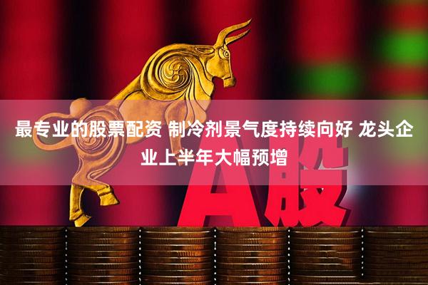 最专业的股票配资 制冷剂景气度持续向好 龙头企业上半年大幅预增